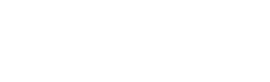 Richard Wolf logo weiss
